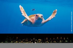 Planet Erde III: Episode 02: Oceans
