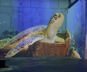 Wunderwelt ozean Phoenix des lumieres